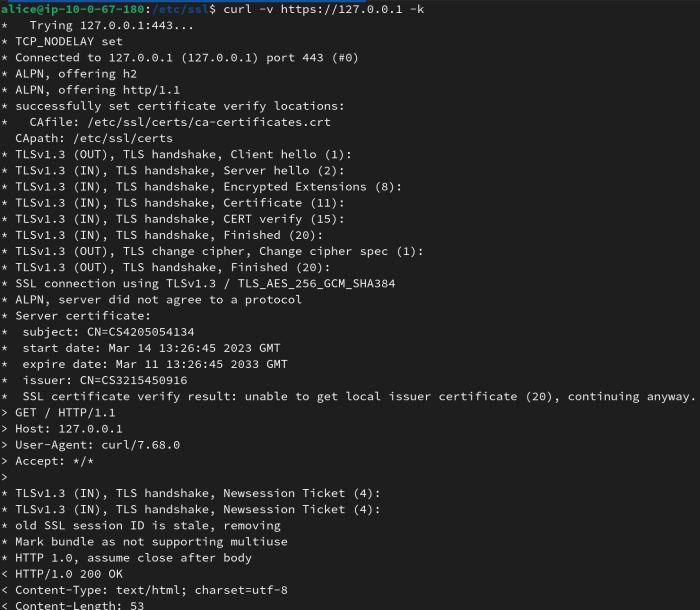 Curl returned flags inside of the subject and issuer parameters of the server certificate