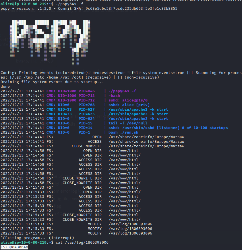 pspy tool screenshot